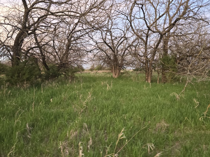 Listing photo 42